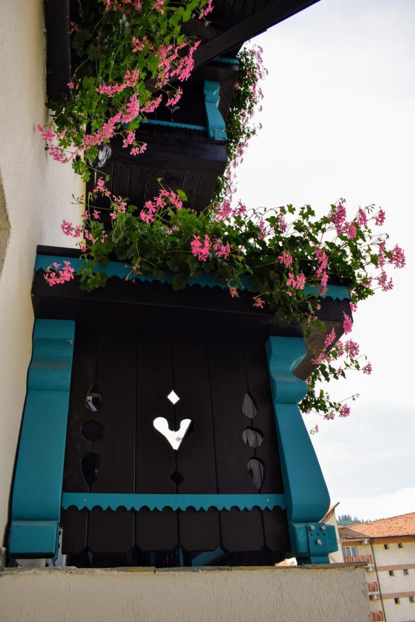 Vila Seva Vatra Dornei Exterior photo